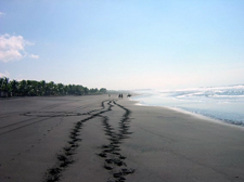 Costa Rica-Pacific Coast-Jungle & Beach Adventure Ride - Mountains to Coast